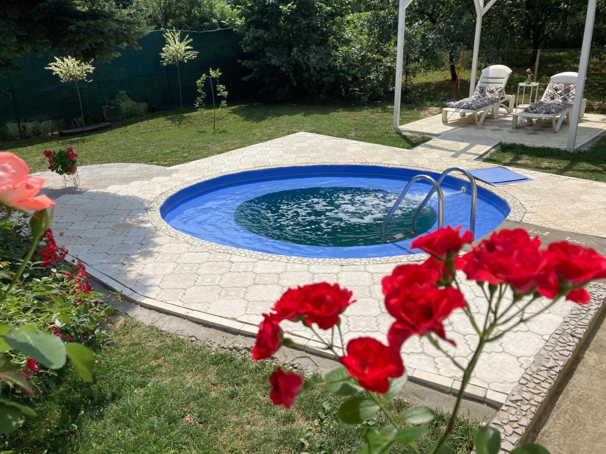 White House With Sauna And Jacuzzi Novi Sad Exteriér fotografie