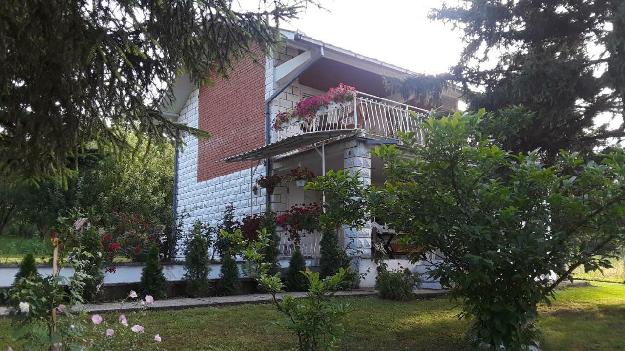 White House With Sauna And Jacuzzi Novi Sad Exteriér fotografie
